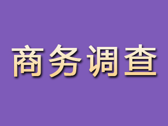 铁山港商务调查